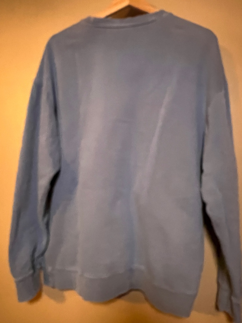 Comfort Colors Distressed Blue Sweatshirt with Red Lobster Print Oversized Fit - Picture 8 of 16